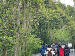 -野蔓果·山野菜(西湖景区·龙井茶田店)