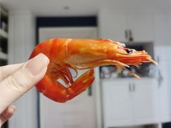 -囧吉香生蚝牛排馆(湖北路店)