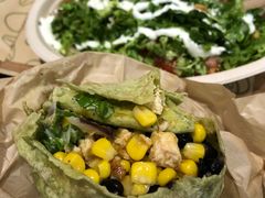 -油梨树 AVOCADO TREE(亮马桥店)