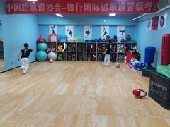 -嗨动跆拳道体能馆(菜百店)