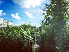 -重庆市江北嘴中央商务区中央公园