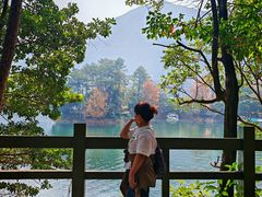 -广州市流溪河国家森林公园