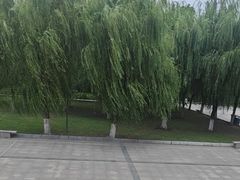 -武汉两江游览·夜游长江(汉口粤汉码头)