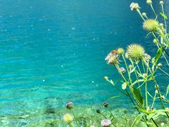 -叠溪松坪沟景区