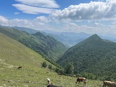 -蔚县茶山村
