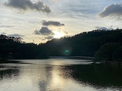 -深圳仙湖植物园