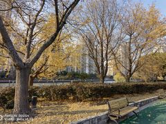 -苏州河梦清园环保主题公园