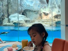 -帝企鹅自助餐厅•儿童岛•真企鹅(长隆企鹅酒店)