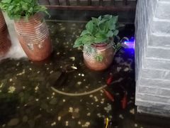 -南京时尚莱迪购物广场(正洪街店)