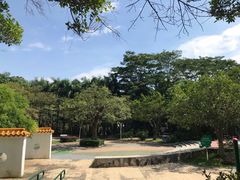 -滴水岩森林公园