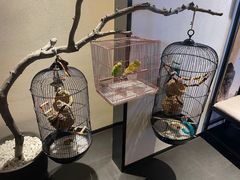 -悦融·京鲁菜·露台花园(安定门店)