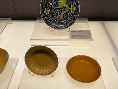 -河南博物院