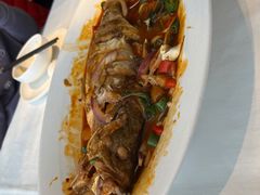 满堂飘香臭鳜鱼-悦融·京鲁菜·露台花园(安定门店)
