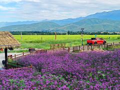-新疆那拉提国家旅游度假区