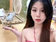 -帕帕拉兹宠物(亚洲旗舰店)