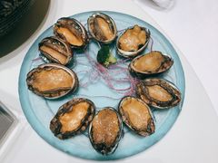 鲍鱼-红鼎豆捞·非遗鲍皇汤火锅(宝丰路店)