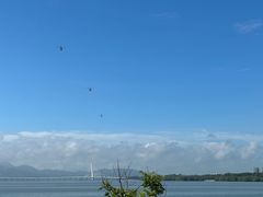 -深圳湾公园(南山区)