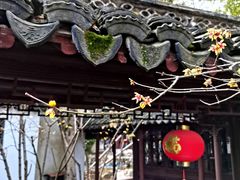-上海醉白池公园