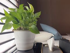 -在水伊方·影院式足道·保健·高端养生SPA(海椒市店)