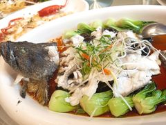 清蒸老虎斑-国惠大酒楼(宝龙店)