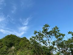 -午潮山国家森林公园