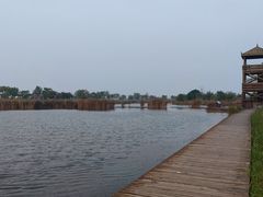 -盐城丹顶鹤湿地生态旅游区