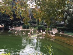 -九龙公园