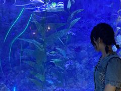 -烟台海昌鲸鲨海洋公园