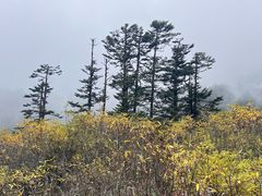-海螺沟风景区