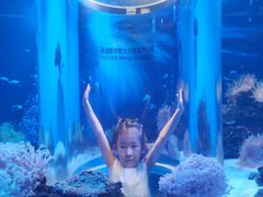 -芜湖新华联大白鲸海洋公园