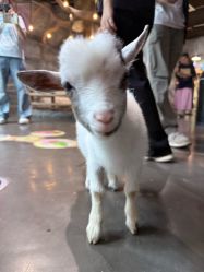 -Zoolung Zoolung动物主题公园(海信广场店)