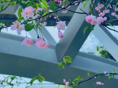 -观山湖公园
