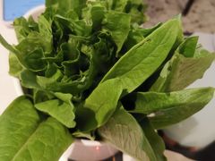 -八合里潮汕鲜牛肉火锅(上海汇智广场店)