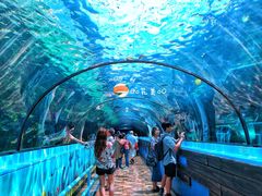 -悉尼海洋生物水族馆