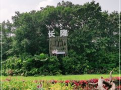 -广州长隆飞鸟乐园