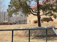 -大连森林动物园