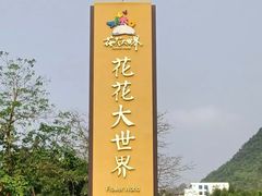 -南宁花花大世界景区
