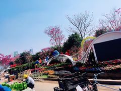 -海心沙亚运公园