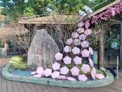 -金鸡湖桃花岛