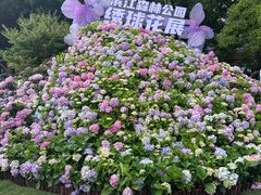 -上海滨江森林公园