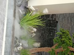 -大榕树下顺德菜(融创茂店)
