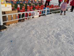 -绿野森林乐园冰雪季