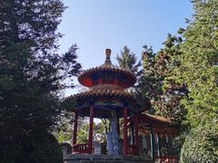 -高尔山公园