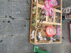 -孙武文化园-停车场
