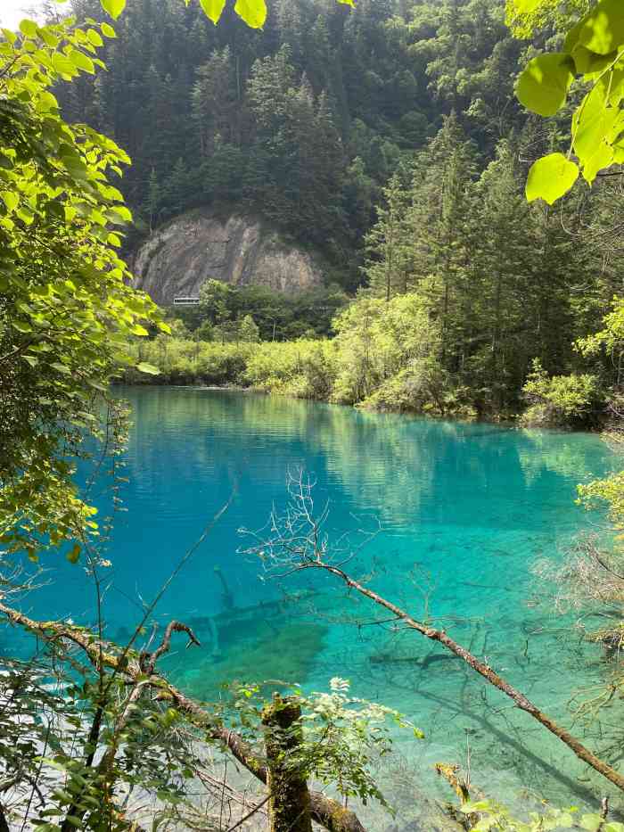 九寨度假村-"从**网上预定的,总体来说还算满意吧,酒.
