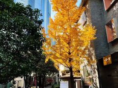 -徐家汇源景区-衡山坊