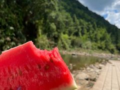 -广州市流溪河国家森林公园