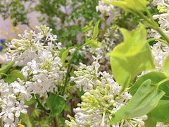 -四季美学色彩形象管理服装搭配