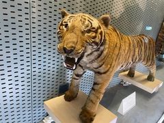 -浙江自然博物院(杭州馆)
