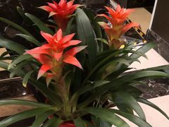 -和记小菜(大宁店)